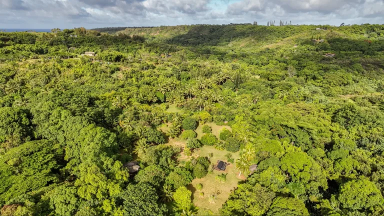 6565-C KOOLAU RD, ANAHOLA, HI 96746