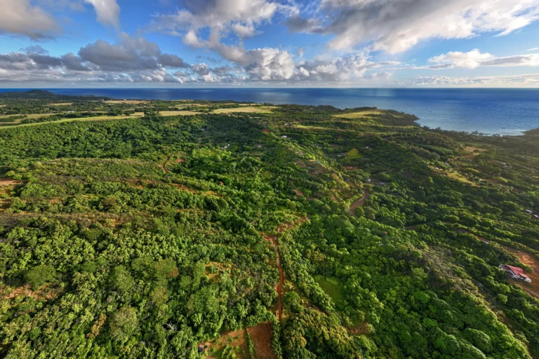 6565-C KOOLAU RD, ANAHOLA, HI 96746