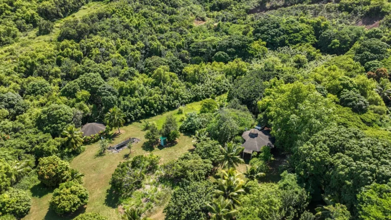 6565-C KOOLAU RD, ANAHOLA, HI 96746