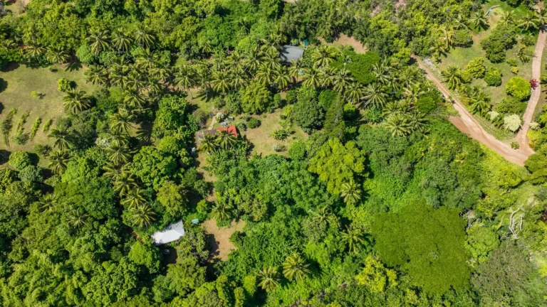6565-C KOOLAU RD, ANAHOLA, HI 96746