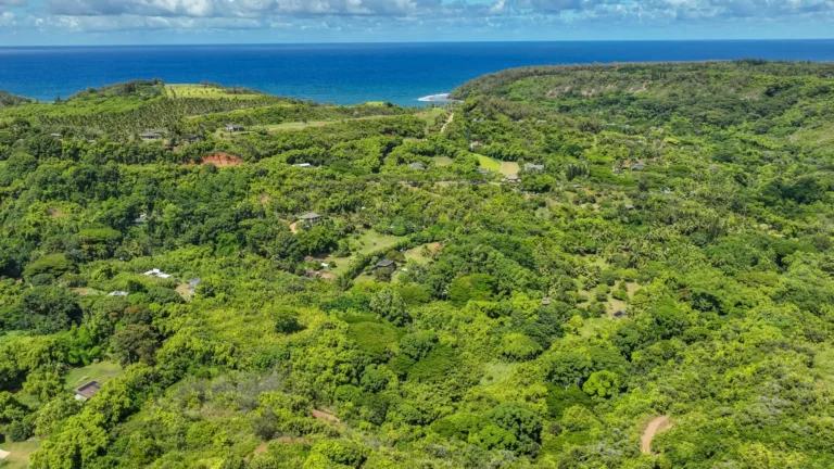 6565-C KOOLAU RD, ANAHOLA, HI 96746