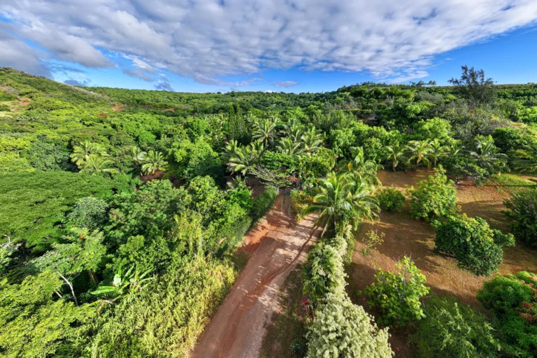 6565-C KOOLAU RD, ANAHOLA, HI 96746