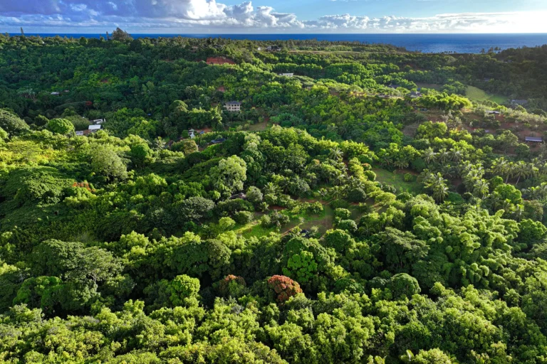6565-C KOOLAU RD, ANAHOLA, HI 96746
