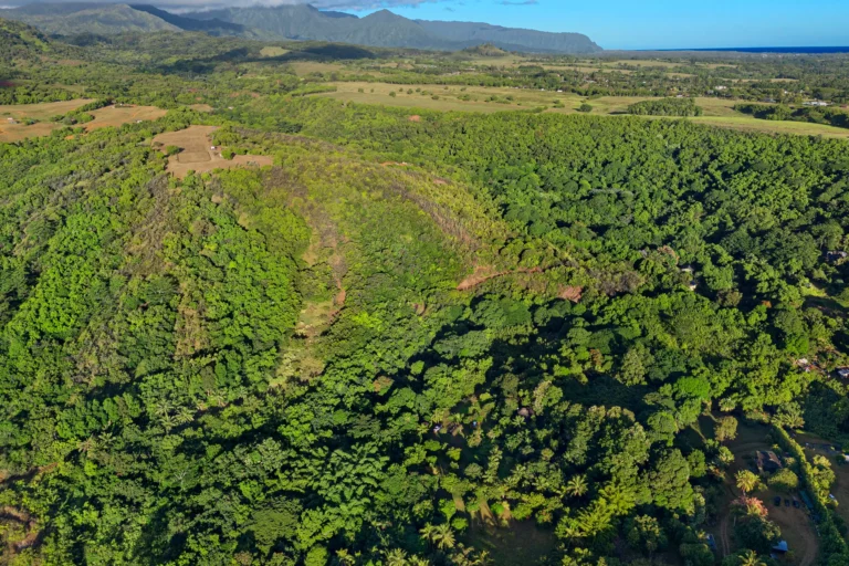 6565-C KOOLAU RD, ANAHOLA, HI 96746