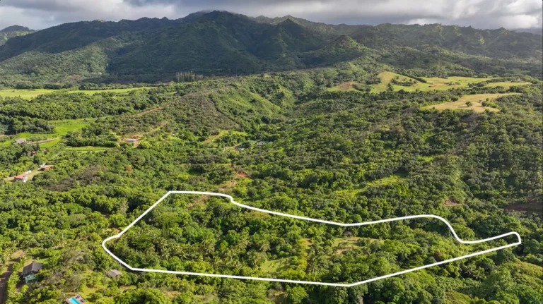 6565-C KOOLAU RD, ANAHOLA, HI 96746