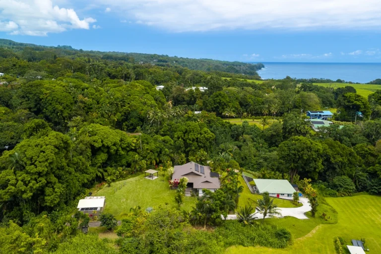 27-418 Old Mamalahoa Hwy, Papaikou, HI 96781