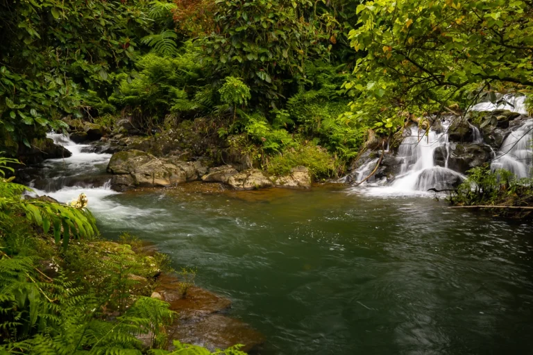 27-418 Old Mamalahoa Hwy, Papaikou, HI 96781