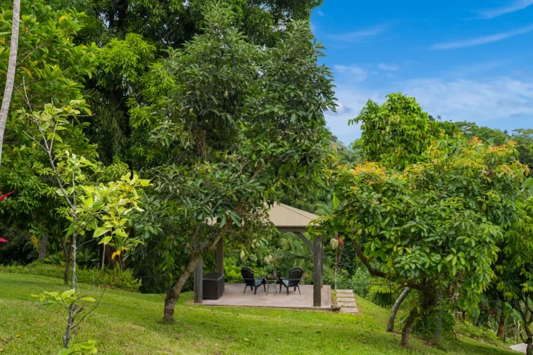 27-418 Old Mamalahoa Hwy, Papaikou, HI 96781