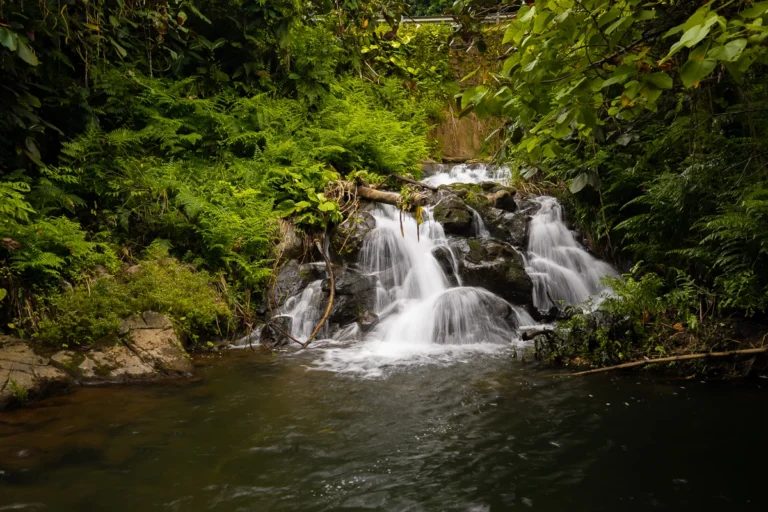 27-418 Old Mamalahoa Hwy, Papaikou, HI 96781